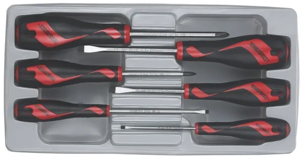 Teng Tools Screwdriver Set 6 Pieces MD906N3